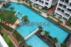 Oasis @ Elias (D18), Condominium #101745162
